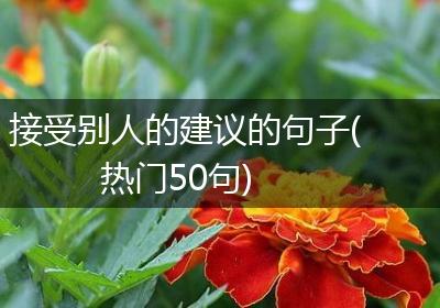 接受别人的建议的句子(热门50句)