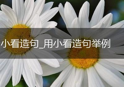 小看造句_用小看造句举例