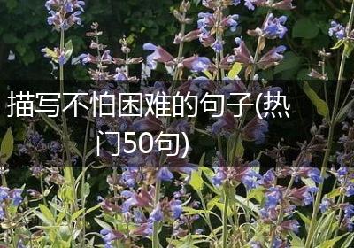 描写不怕困难的句子(热门50句)