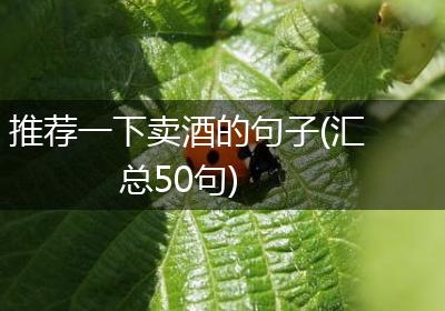推荐一下卖酒的句子(汇总50句)