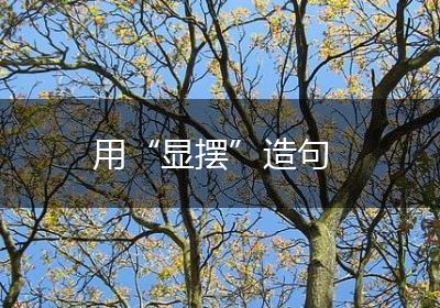 用“显摆”造句