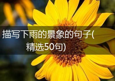 描写下雨的景象的句子(精选50句)