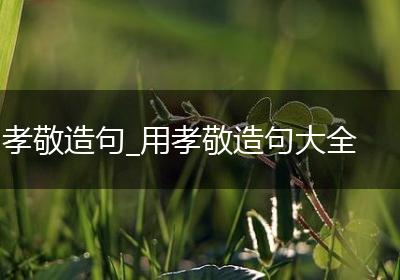 孝敬造句_用孝敬造句大全