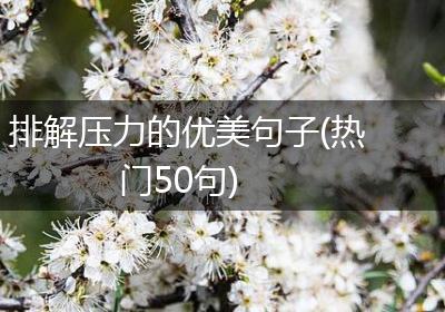 排解压力的优美句子(热门50句)