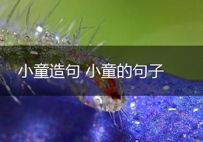 小童造句 小童的句子