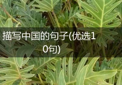 描写中国的句子(优选10句)