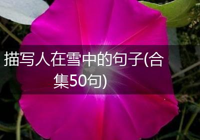 描写人在雪中的句子(合集50句)