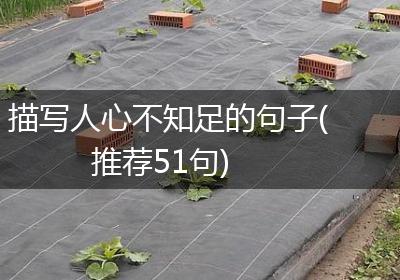 描写人心不知足的句子(推荐51句)