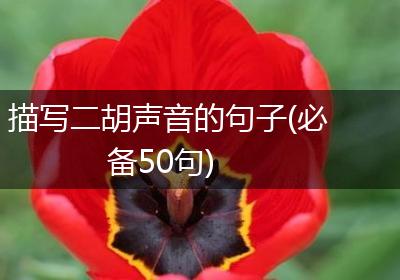 描写二胡声音的句子(必备50句)