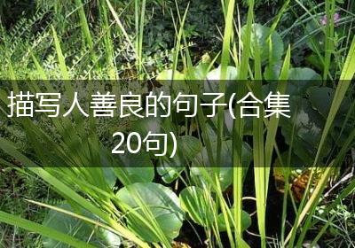 描写人善良的句子(合集20句)