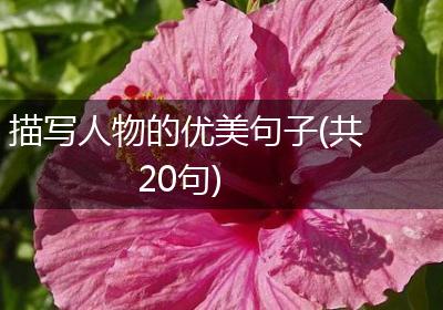 描写人物的优美句子(共20句)