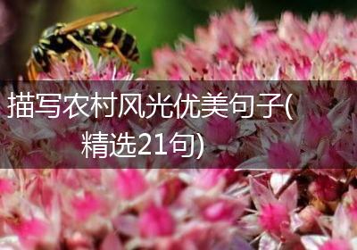 描写农村风光优美句子(精选21句)