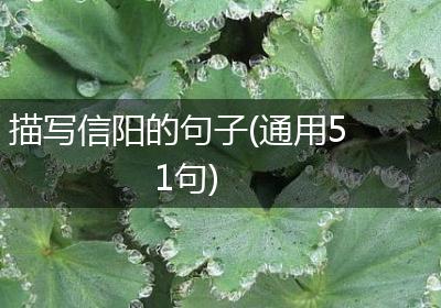 描写信阳的句子(通用51句)