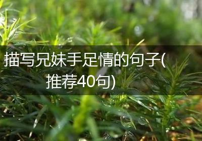 描写兄妹手足情的句子(推荐40句)