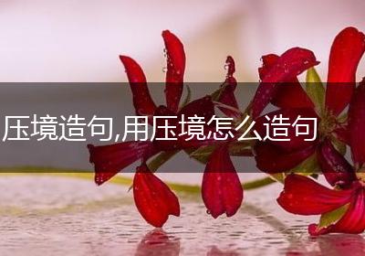压境造句,用压境怎么造句