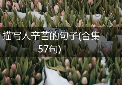描写人辛苦的句子(合集57句)