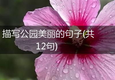 描写公园美丽的句子(共12句)