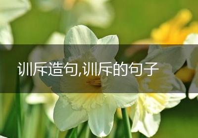 训斥造句,训斥的句子