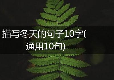 描写冬天的句子10字(通用10句)