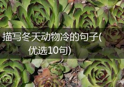 描写冬天动物冷的句子(优选10句)