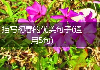 描写初春的优美句子(通用5句)