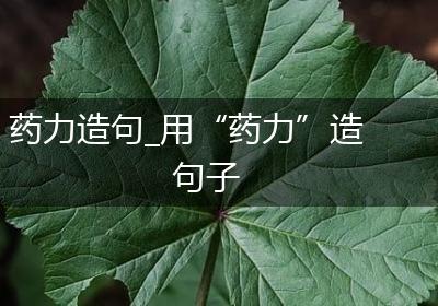 药力造句_用“药力”造句子