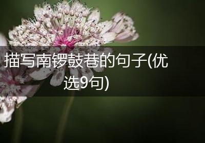 描写南锣鼓巷的句子(优选9句)