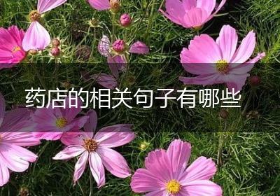 药店的相关句子有哪些