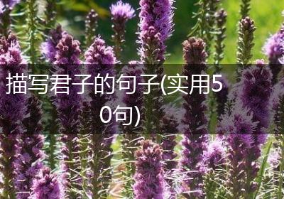 描写君子的句子(实用50句)