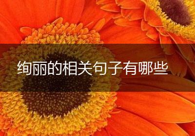 绚丽的相关句子有哪些