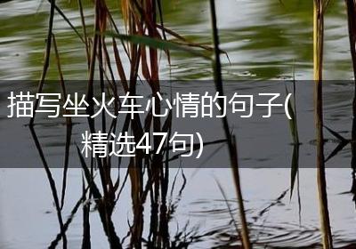 描写坐火车心情的句子(精选47句)