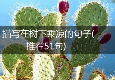 描写在树下乘凉的句子(推荐51句)