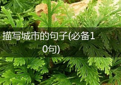 描写城市的句子(必备10句)