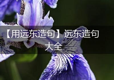 【用远东造句】远东造句大全