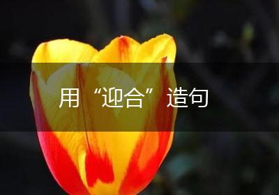 用“迎合”造句
