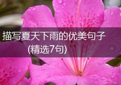 描写夏天下雨的优美句子(精选7句)