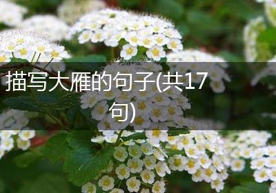 描写大雁的句子(共17句)