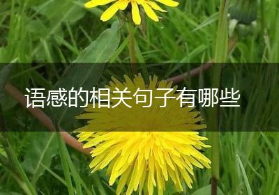 语感的相关句子有哪些
