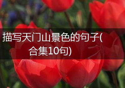 描写天门山景色的句子(合集10句)