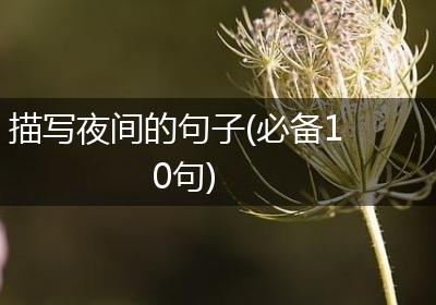 描写夜间的句子(必备10句)