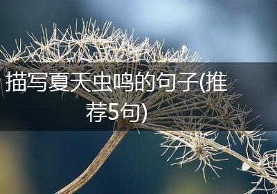 描写夏天虫鸣的句子(推荐5句)