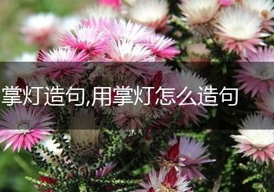 掌灯造句,用掌灯怎么造句