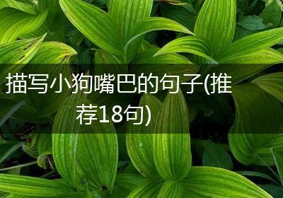 描写小狗嘴巴的句子(推荐18句)