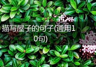 描写屋子的句子(通用10句)