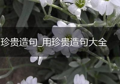 珍贵造句_用珍贵造句大全