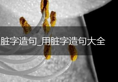 脏字造句_用脏字造句大全