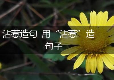 沾惹造句_用“沾惹”造句子