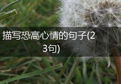 描写恐高心情的句子(23句)