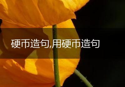 硬币造句,用硬币造句