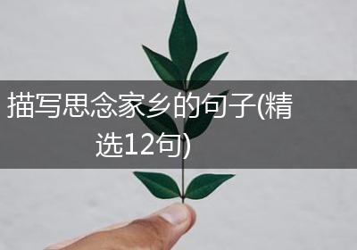 描写思念家乡的句子(精选12句)